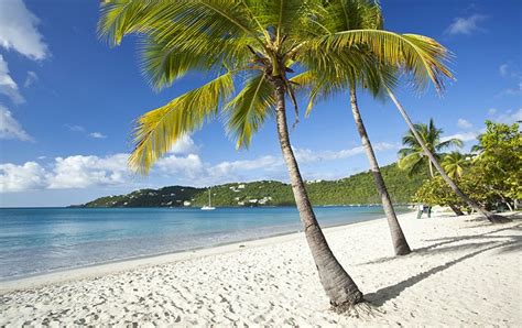 With schools nearby for families, plus a vibrant dining, nightlife, and shopping scene, <b>St</b> <b>Thomas</b> is an. . Craigslist us virgin islands st thomas